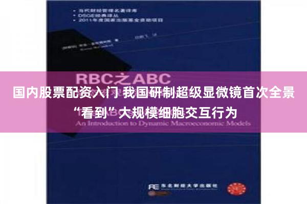 国内股票配资入门 我国研制超级显微镜首次全景“看到”大规模细胞交互行为