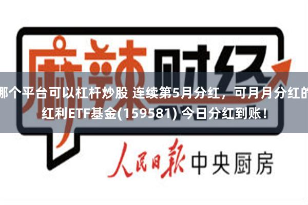 哪个平台可以杠杆炒股 连续第5月分红，可月月分红的红利ETF基金(159581) 今日分红到账！