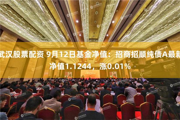 武汉股票配资 9月12日基金净值：招商招顺纯债A最新净值1.1244，涨0.01%