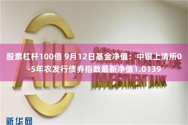 股票杠杆100倍 9月12日基金净值：中银上清所0-5年农发行债券指数最新净值1.0139