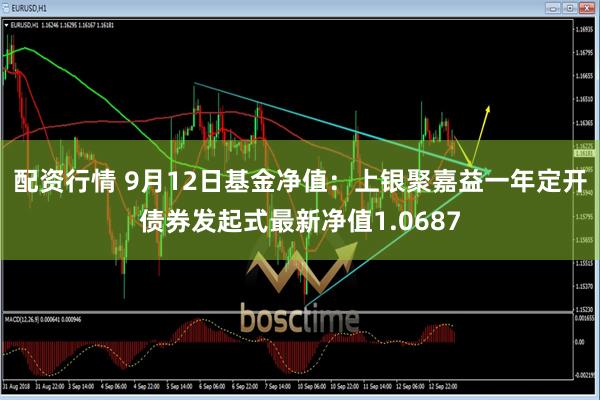 配资行情 9月12日基金净值：上银聚嘉益一年定开债券发起式最新净值1.0687