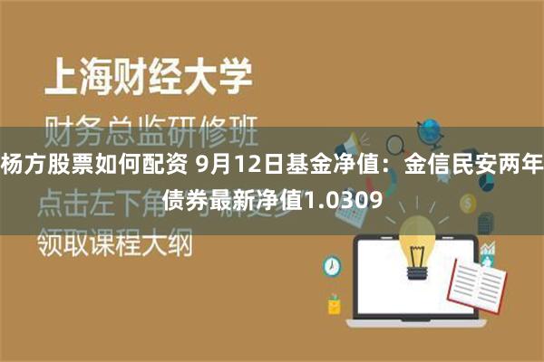 杨方股票如何配资 9月12日基金净值：金信民安两年债券最新净值1.0309