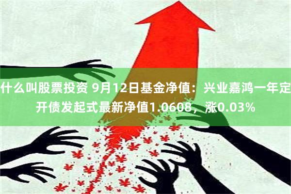 什么叫股票投资 9月12日基金净值：兴业嘉鸿一年定开债发起式最新净值1.0608，涨0.03%