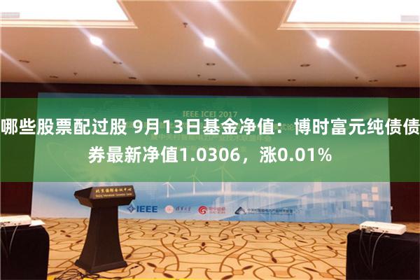 哪些股票配过股 9月13日基金净值：博时富元纯债债券最新净值1.0306，涨0.01%