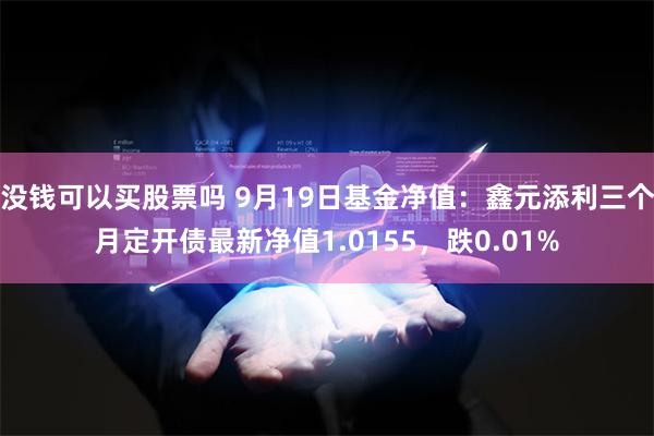 没钱可以买股票吗 9月19日基金净值：鑫元添利三个月定开债最新净值1.0155，跌0.01%