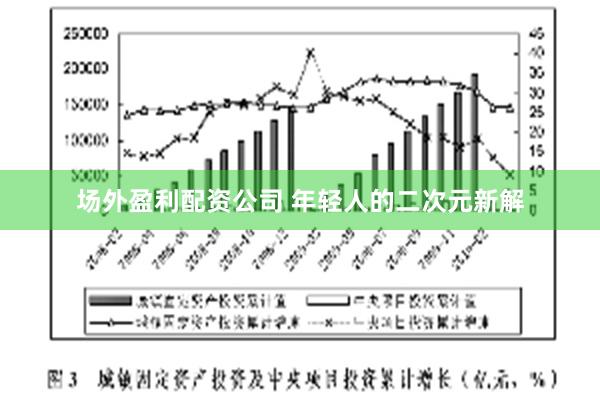 场外盈利配资公司 年轻人的二次元新解