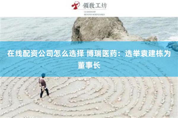在线配资公司怎么选择 博瑞医药：选举袁建栋为董事长