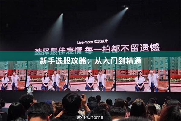 新手选股攻略：从入门到精通