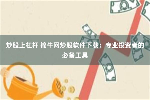 炒股上杠杆 锦牛网炒股软件下载：专业投资者的必备工具