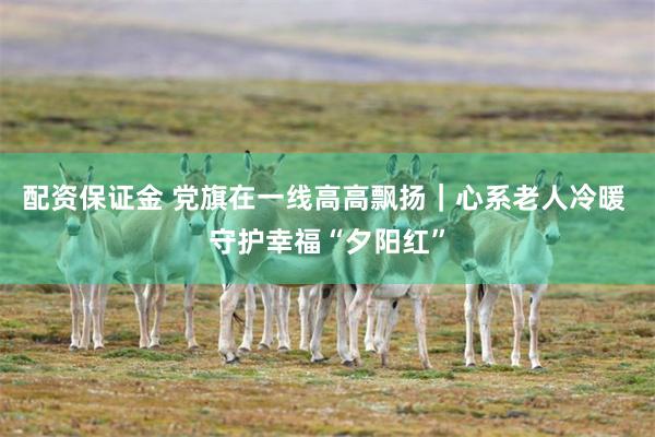 配资保证金 党旗在一线高高飘扬｜心系老人冷暖 守护幸福“夕阳红”