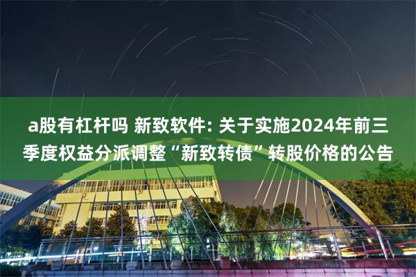a股有杠杆吗 新致软件: 关于实施2024年前三季度权益分派调整“新致转债”转股价格的公告