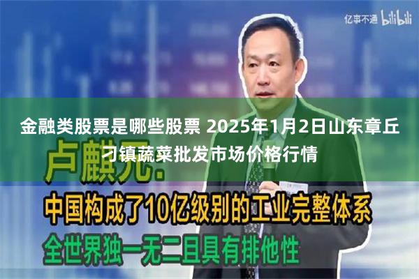 金融类股票是哪些股票 2025年1月2日山东章丘刁镇蔬菜批发市场价格行情