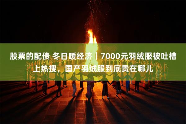 股票的配债 冬日暖经济｜7000元羽绒服被吐槽上热搜，国产羽绒服到底贵在哪儿