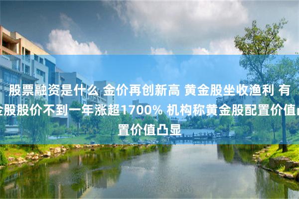 股票融资是什么 金价再创新高 黄金股坐收渔利 有黄金股股价不到一年涨超1700% 机构称黄金股配置价值凸显