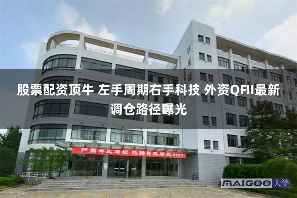 股票配资顶牛 左手周期右手科技 外资QFII最新调仓路径曝光