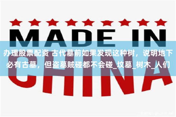 办理股票配资 古代墓前如果发现这种树，说明地下必有古墓，但盗墓贼碰都不会碰_坟墓_树木_人们