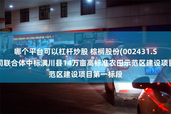 哪个平台可以杠杆炒股 棕榈股份(002431.SZ)：子公司联合体中标潢川县14万亩高标准农田示范区建设项目第一标段