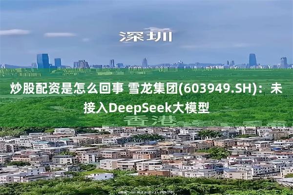 炒股配资是怎么回事 雪龙集团(603949.SH)：未接入DeepSeek大模型
