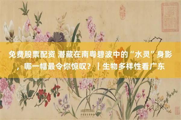 免费股票配资 潜藏在南粤碧波中的“水灵”身影，哪一幅最令你惊叹？｜生物多样性看广东