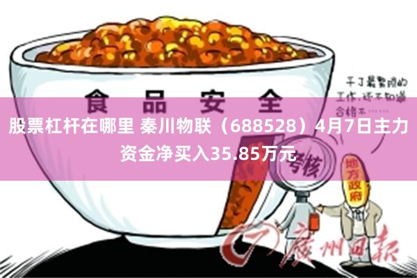 股票杠杆在哪里 秦川物联（688528）4月7日主力资金净买入35.85万元