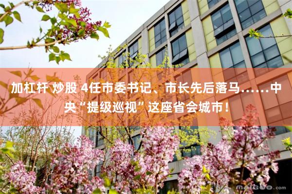 加杠杆 炒股 4任市委书记、市长先后落马……中央“提级巡视”这座省会城市！