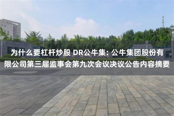 为什么要杠杆炒股 DR公牛集: 公牛集团股份有限公司第三届监事会第九次会议决议公告内容摘要