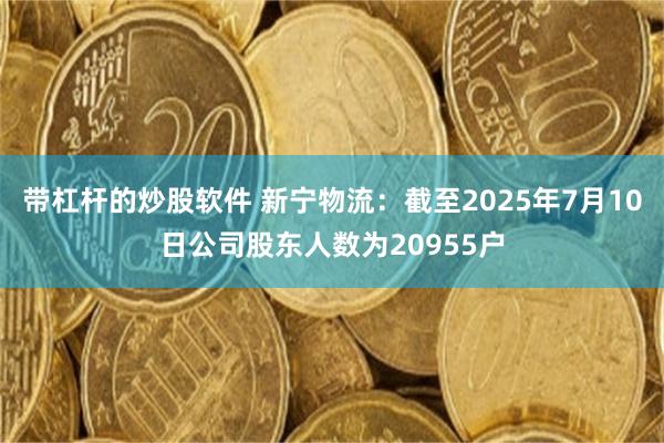 带杠杆的炒股软件 新宁物流：截至2025年7月10日公司股东人数为20955户