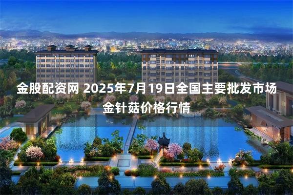金股配资网 2025年7月19日全国主要批发市场金针菇价格行情