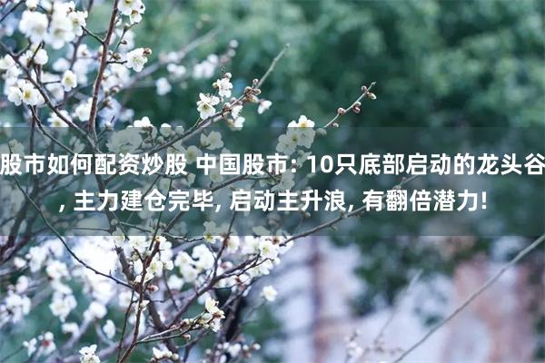 股市如何配资炒股 中国股市: 10只底部启动的龙头谷, 主力建仓完毕, 启动主升浪, 有翻倍潜力!