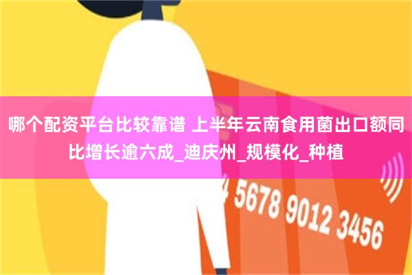 哪个配资平台比较靠谱 上半年云南食用菌出口额同比增长逾六成_迪庆州_规模化_种植