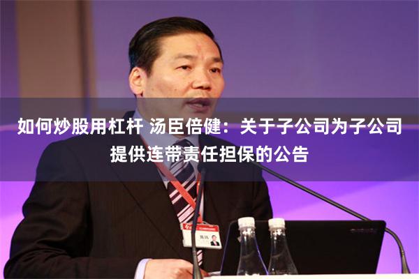 如何炒股用杠杆 汤臣倍健：关于子公司为子公司提供连带责任担保的公告